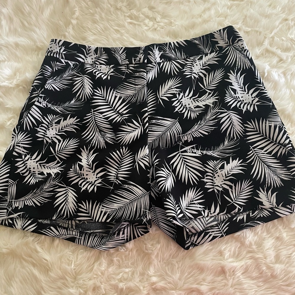 Palm Leaf Print Shorts